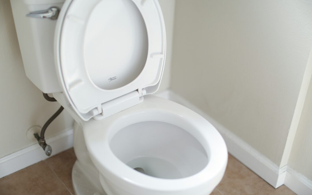 Toilet Repairs